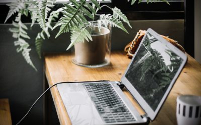 BLOG 3